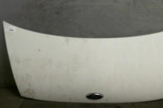 Capot FORD TRANSIT 3 Photo n°1