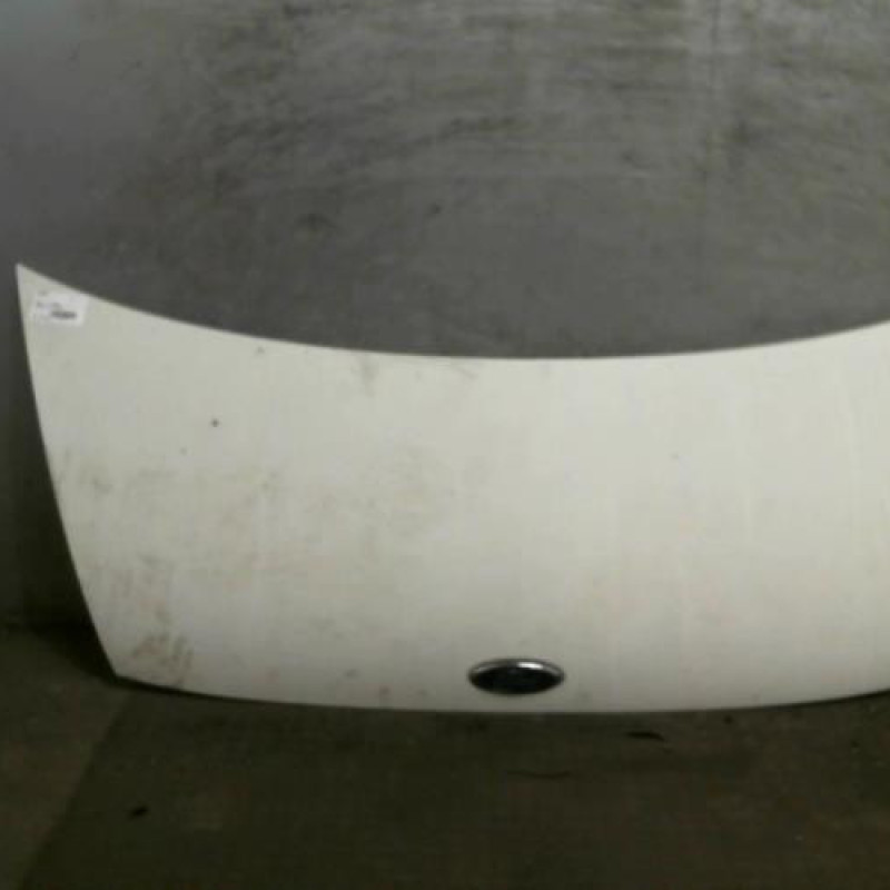 Capot FORD TRANSIT 3 Photo n°1