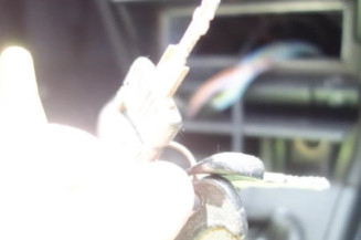 Ceinture arriere gauche PEUGEOT 405