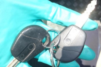 Porte de coffre droit FIAT SCUDO 1