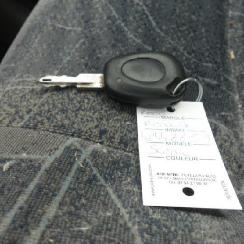 Porte arriere droit RENAULT SCENIC 1 Photo n°4