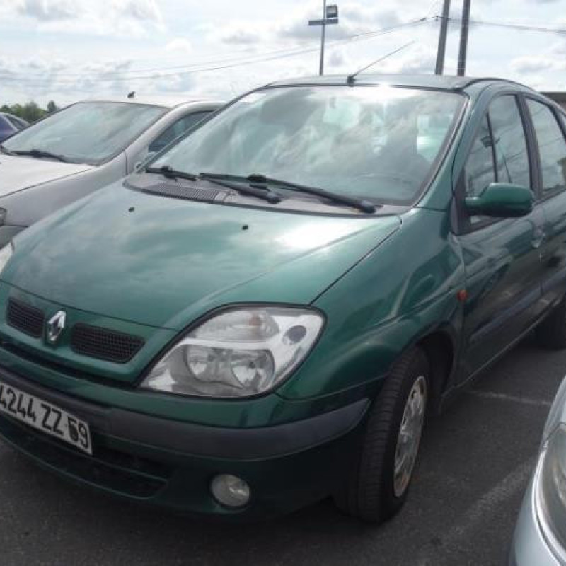 Porte arriere droit RENAULT SCENIC 1 Photo n°5