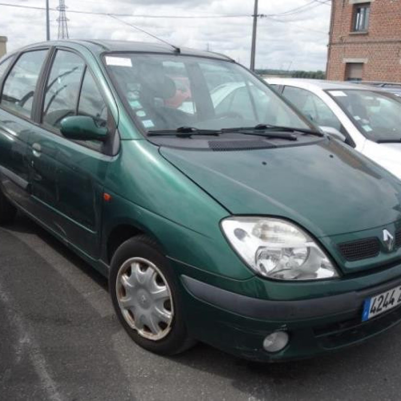 Porte arriere droit RENAULT SCENIC 1 Photo n°6