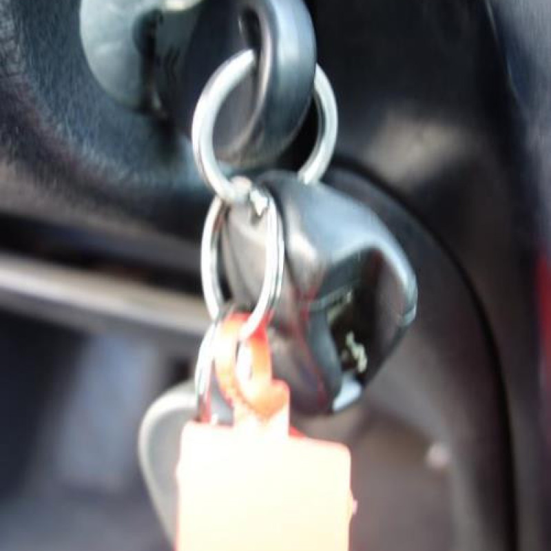 Ceinture arriere gauche CITROEN XSARA Photo n°15