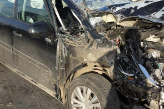 Malle/Hayon arriere CITROEN C4 PICASSO 1