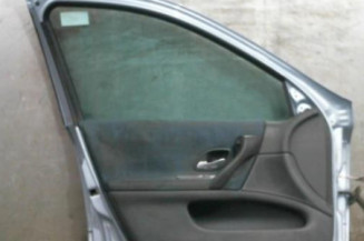 Porte avant gauche RENAULT LAGUNA 2