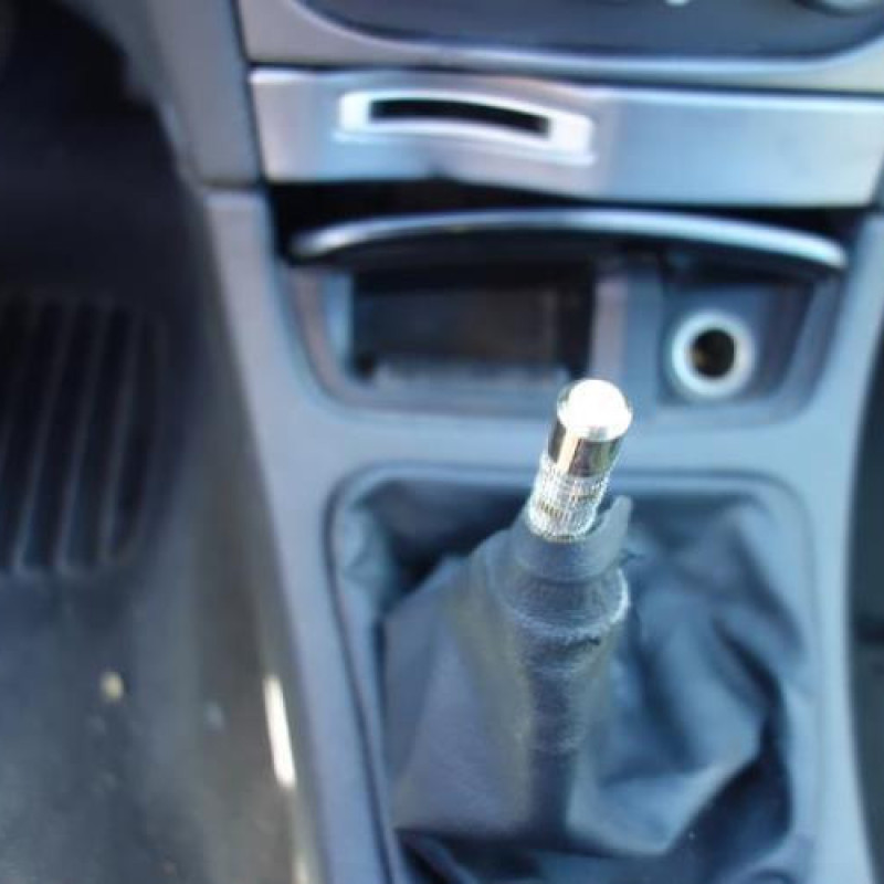 Porte avant gauche RENAULT LAGUNA 2 Photo n°10