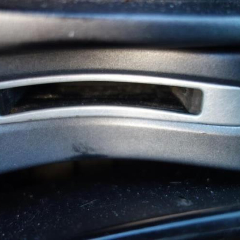 Porte avant gauche RENAULT LAGUNA 2 Photo n°13