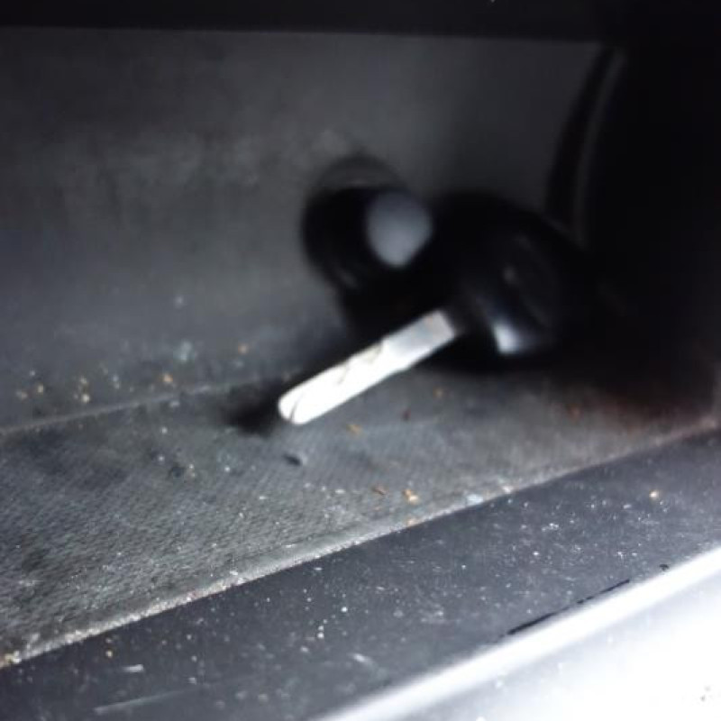 Porte arriere droit FORD FOCUS 2 Photo n°11