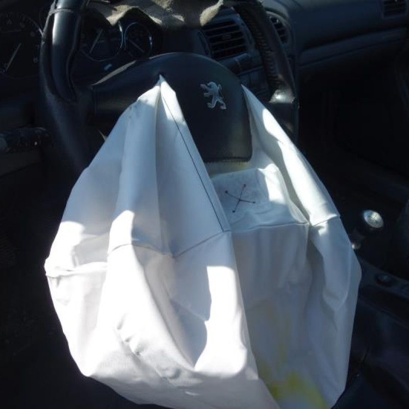 Malle/Hayon arriere PEUGEOT 406 Photo n°8