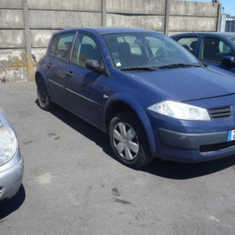 Porte arriere gauche RENAULT MEGANE 2 Photo n°3