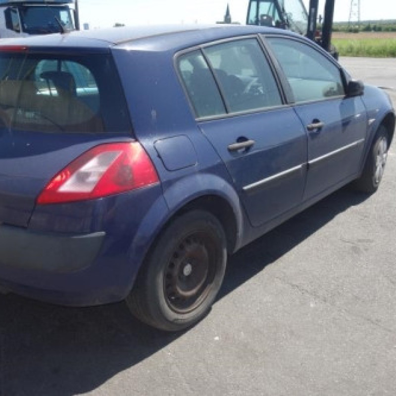 Porte arriere gauche RENAULT MEGANE 2 Photo n°4