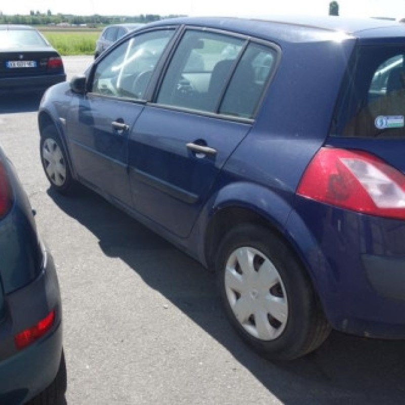 Porte arriere gauche RENAULT MEGANE 2 Photo n°5