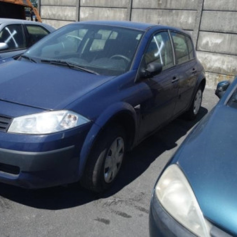 Porte arriere gauche RENAULT MEGANE 2 Photo n°6