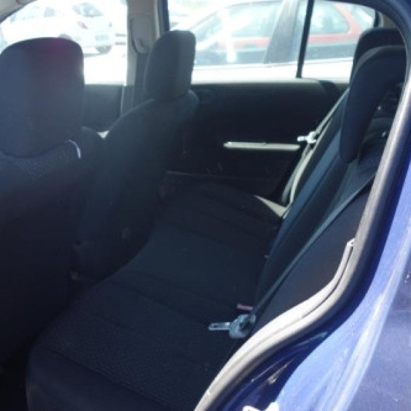 Porte arriere gauche RENAULT MEGANE 2 Photo n°8