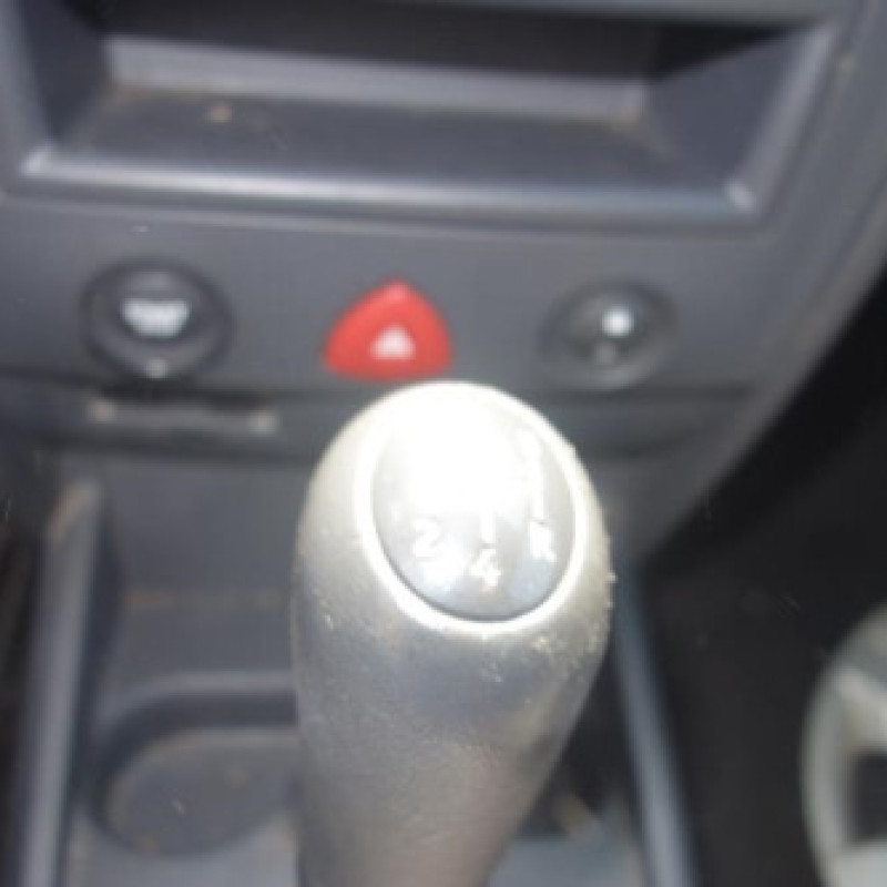 Porte arriere gauche RENAULT MEGANE 2 Photo n°10