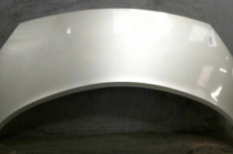 Capot RENAULT SCENIC 2 Photo n°1