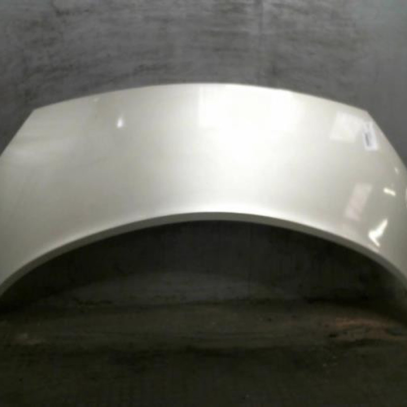Capot RENAULT SCENIC 2 Photo n°1
