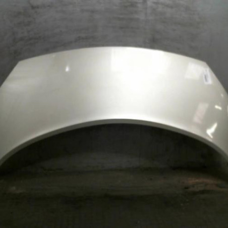 Capot RENAULT SCENIC 2 Photo n°1
