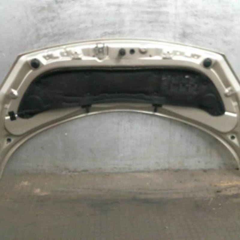 Capot RENAULT SCENIC 2 Photo n°2