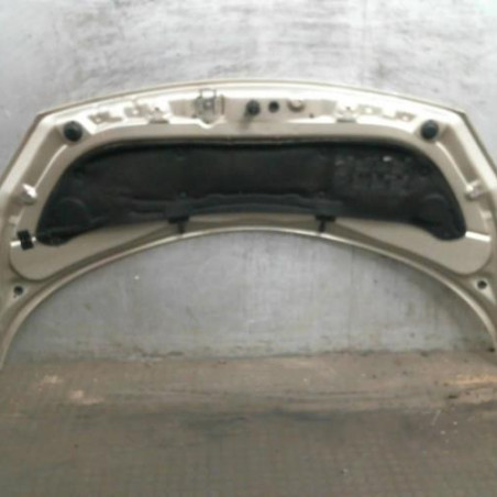 Capot RENAULT SCENIC 2