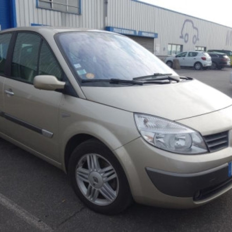 Capot RENAULT SCENIC 2 Photo n°4