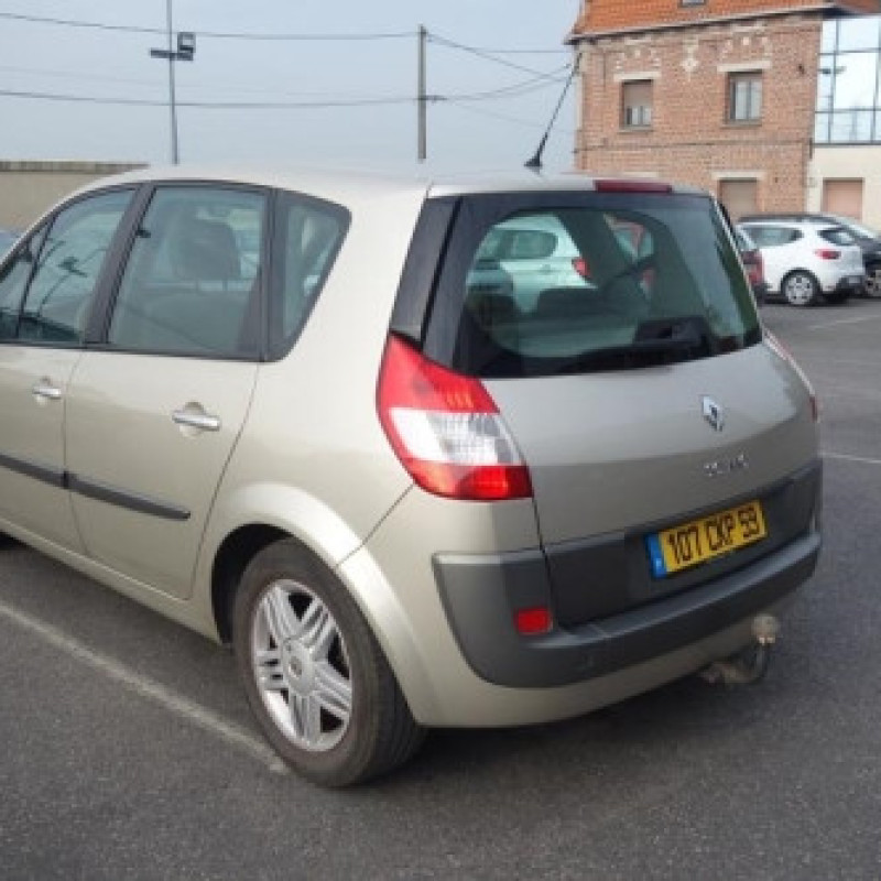 Capot RENAULT SCENIC 2 Photo n°6