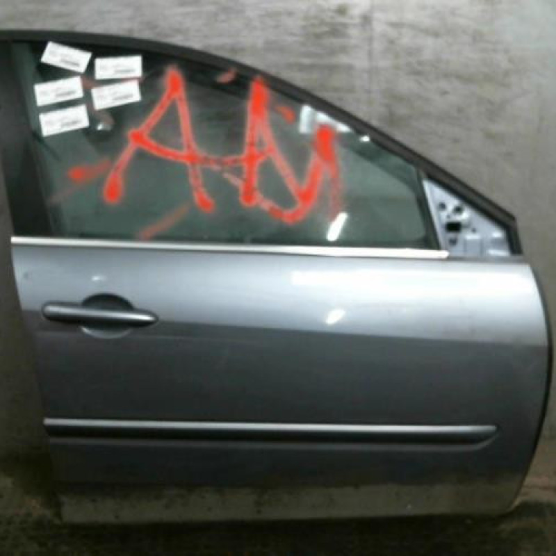 Porte avant droit RENAULT LAGUNA 3 Photo n°1