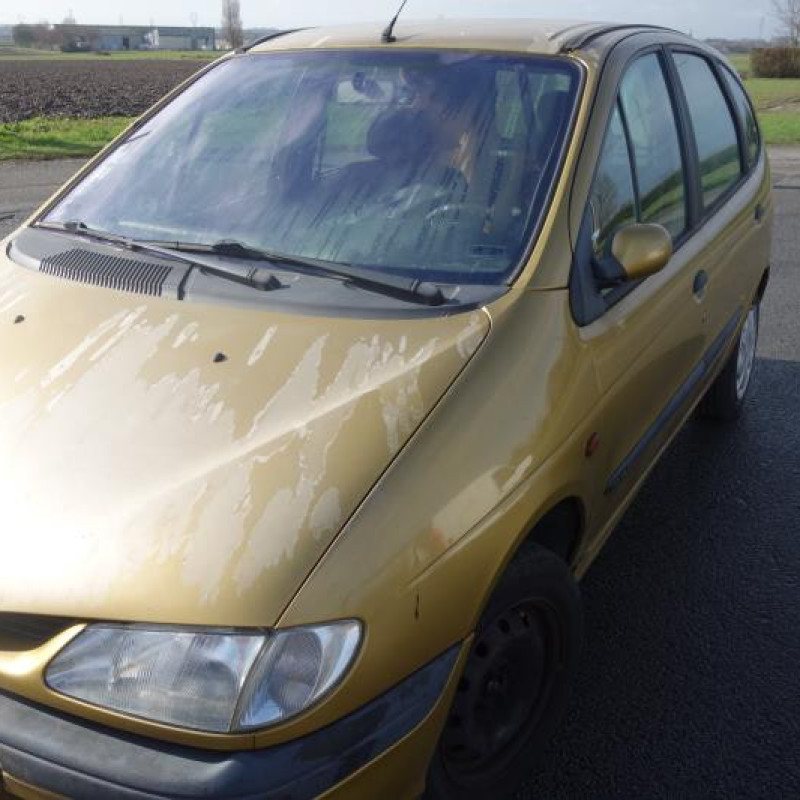 Porte arriere gauche RENAULT SCENIC 1 Photo n°6