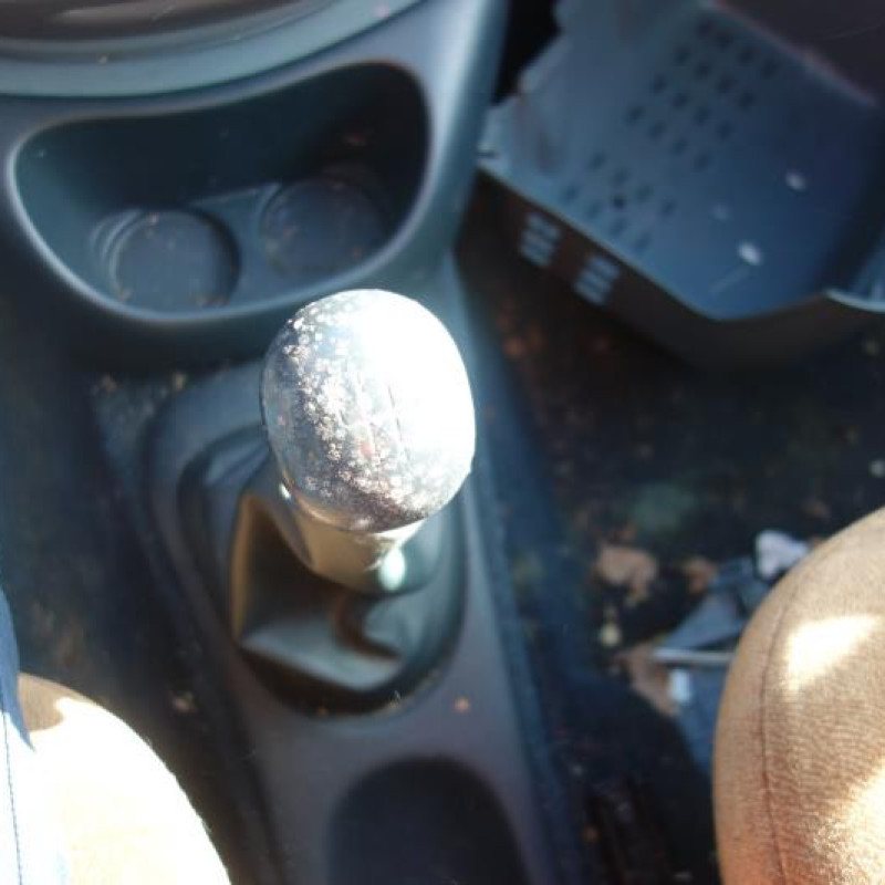 Porte arriere gauche RENAULT SCENIC 1 Photo n°10