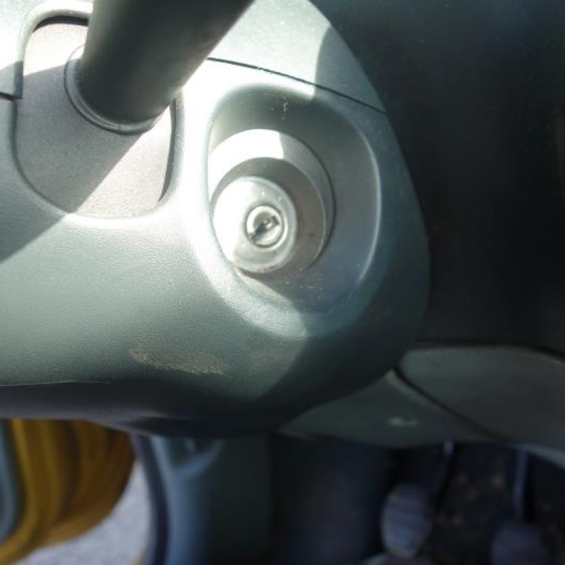 Porte arriere gauche RENAULT SCENIC 1 Photo n°12