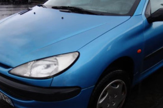 Porte arriere gauche PEUGEOT 206