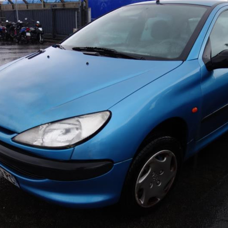 Porte arriere gauche PEUGEOT 206 Photo n°3