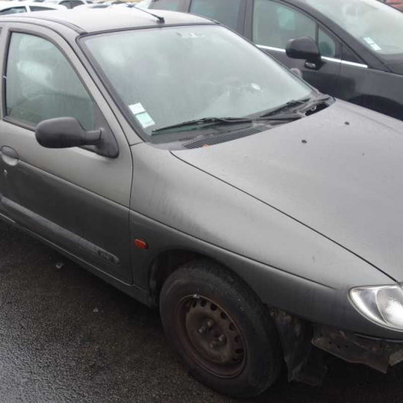Porte avant droit RENAULT MEGANE 1 Photo n°5
