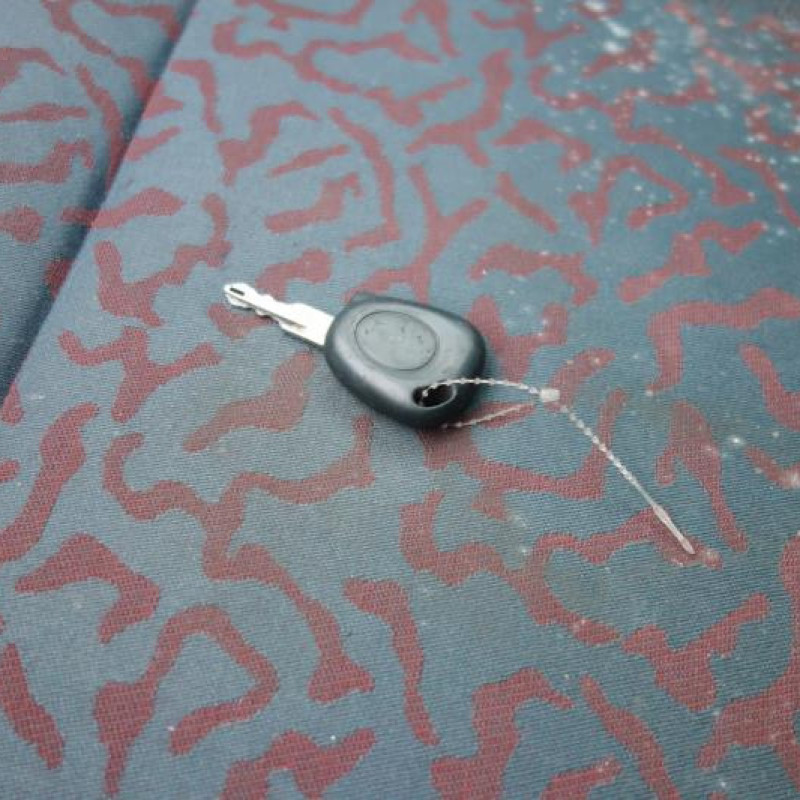 Porte avant droit RENAULT MEGANE 1 Photo n°10