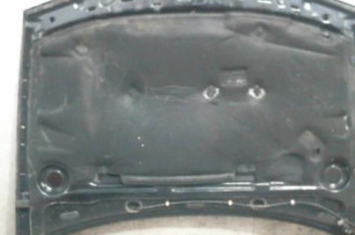 Capot VOLKSWAGEN GOLF 4 Photo n°1