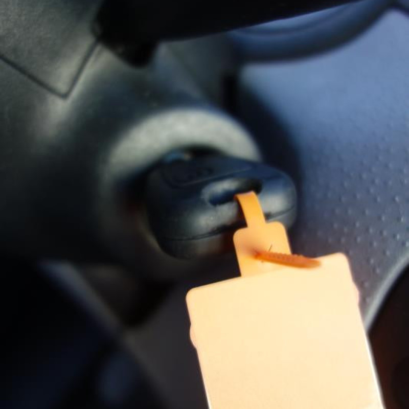 Porte avant gauche CITROEN C3 1 Photo n°10