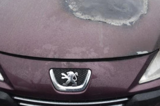 Trappe d'essence PEUGEOT 307