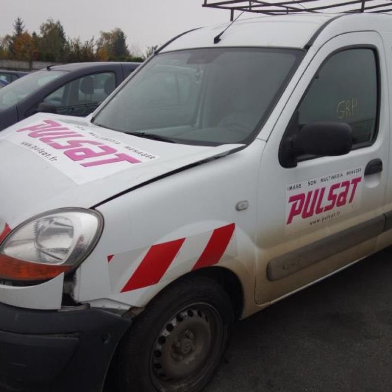 Porte de coffre droit RENAULT KANGOO 1 Photo n°3