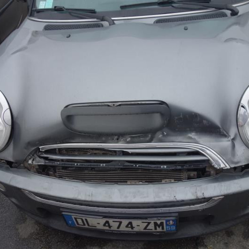 Porte avant gauche MINI MINI 1 R50/R53 Photo n°4