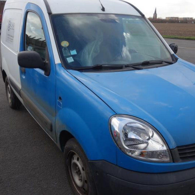 Porte de coffre droit RENAULT KANGOO 1 Photo n°5