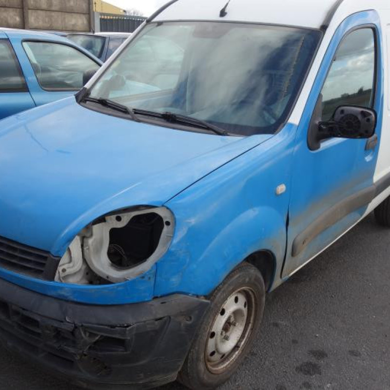 Porte de coffre droit RENAULT KANGOO 1 Photo n°6