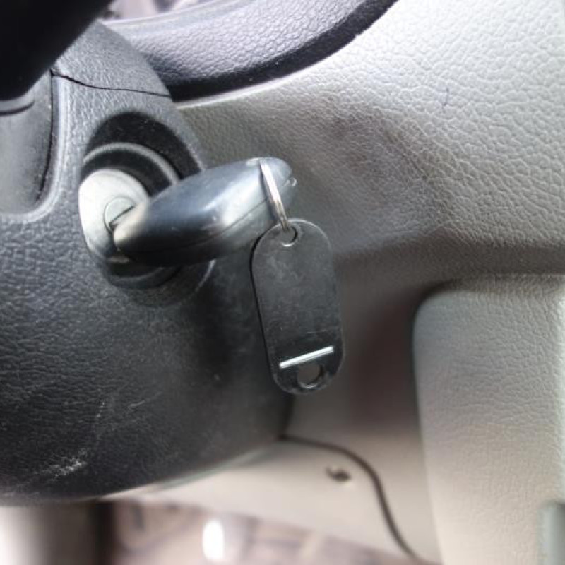 Porte de coffre droit RENAULT KANGOO 1 Photo n°10