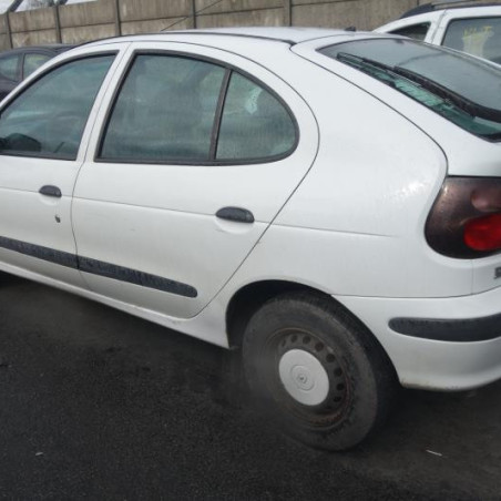 Custode arriere gauche (porte) RENAULT MEGANE