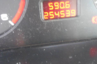 Custode arriere gauche (porte) PEUGEOT 406