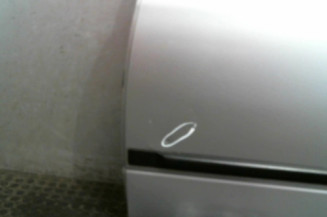 Porte arriere gauche NISSAN PRIMERA 2