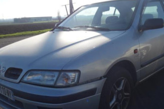 Avertisseur/Klaxon NISSAN PRIMERA 2