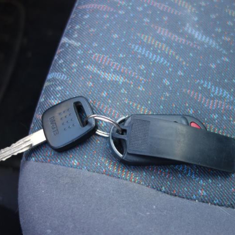 Avertisseur/Klaxon NISSAN PRIMERA 2 Photo n°11