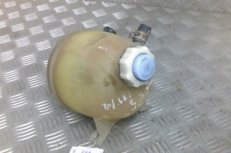 Vase d'expansion RENAULT SCENIC 1 Photo n°1