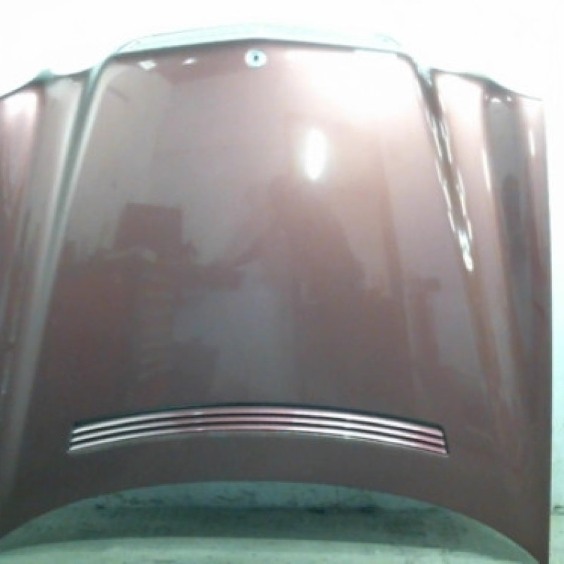 Capot MERCEDES CLASSE E 210 Photo n°1
